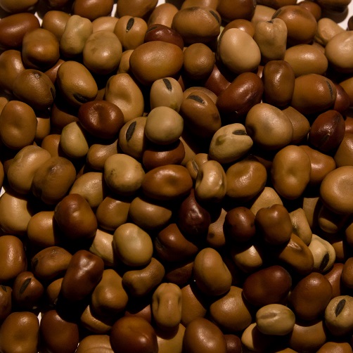Beans 
